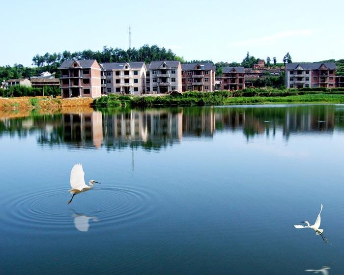 ���e�B(y��ng)���õط�