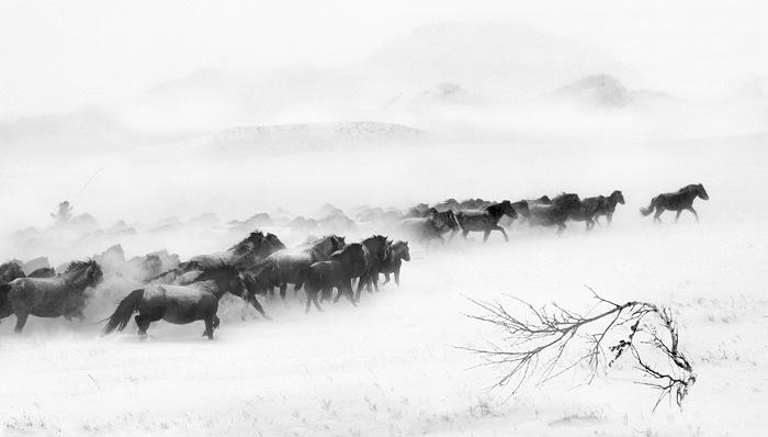 �E�������L(f��ng)