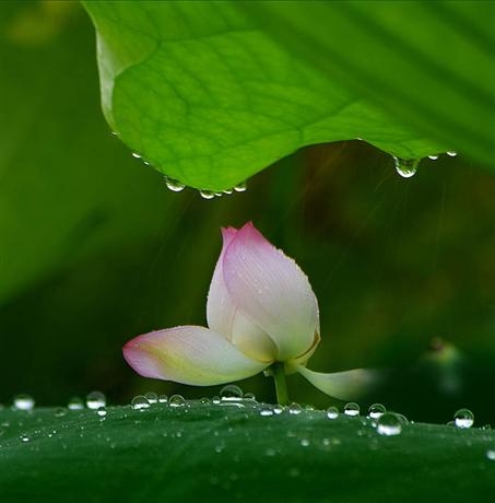 ���~�ϵ�����