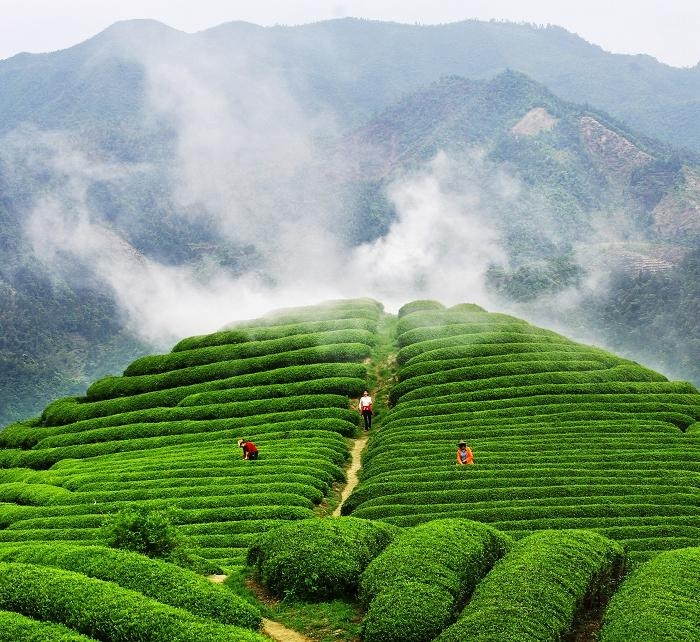 ���M��@��