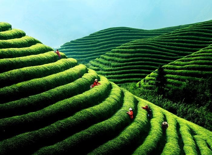 ���M��@��