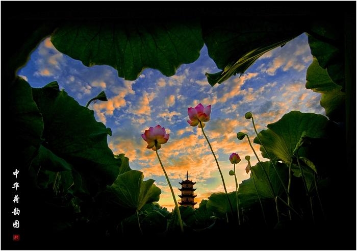 �����A��퍈D��