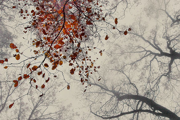 �����������>