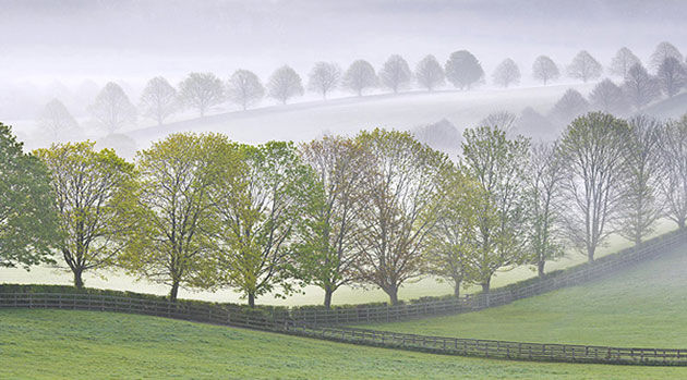 ���G����š�