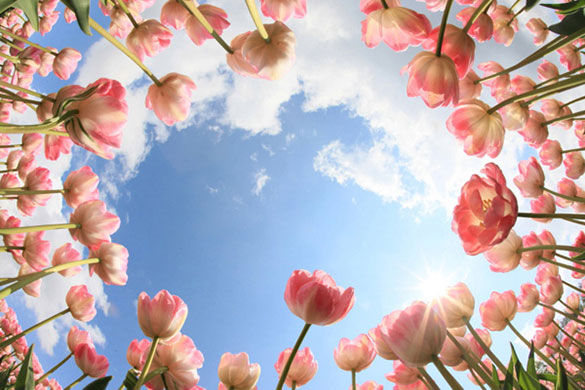 �������㡪�������n񷡷