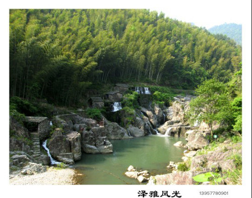 �������L(f��ng)�⡷����