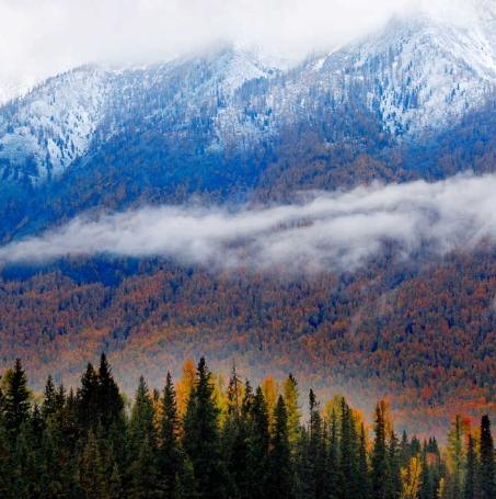 ���B(t��i)�½�