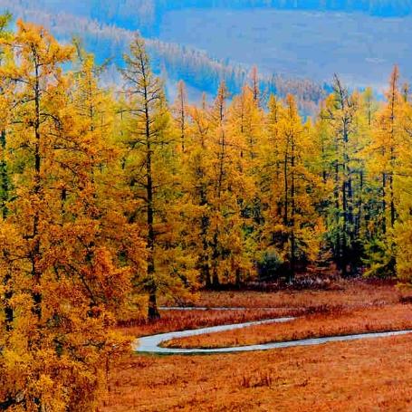 ���B(t��i)�½�