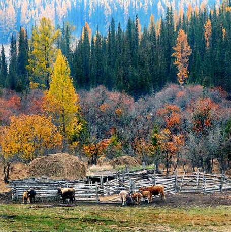 ���B(t��i)�½�