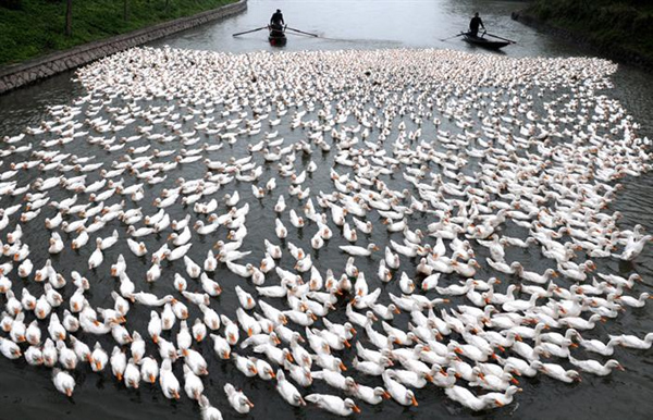 �x�R�B(y��ng)����