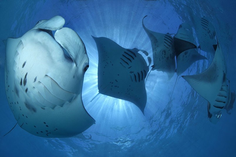 ���������