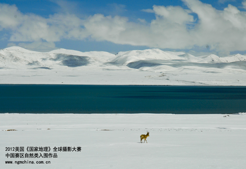 ����ɽ�_�ࡷ