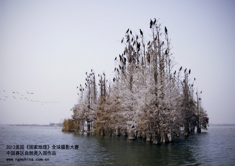 ���B(ni��o)�����á�