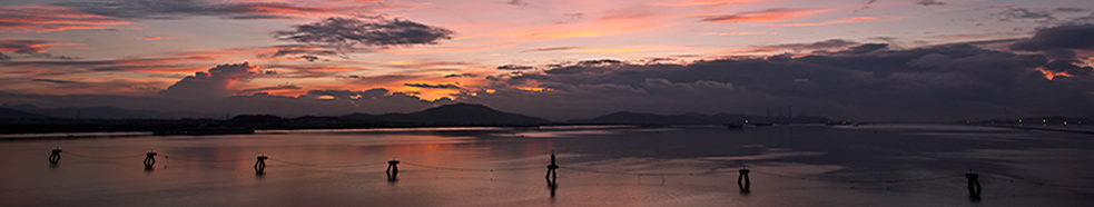 �����o'����