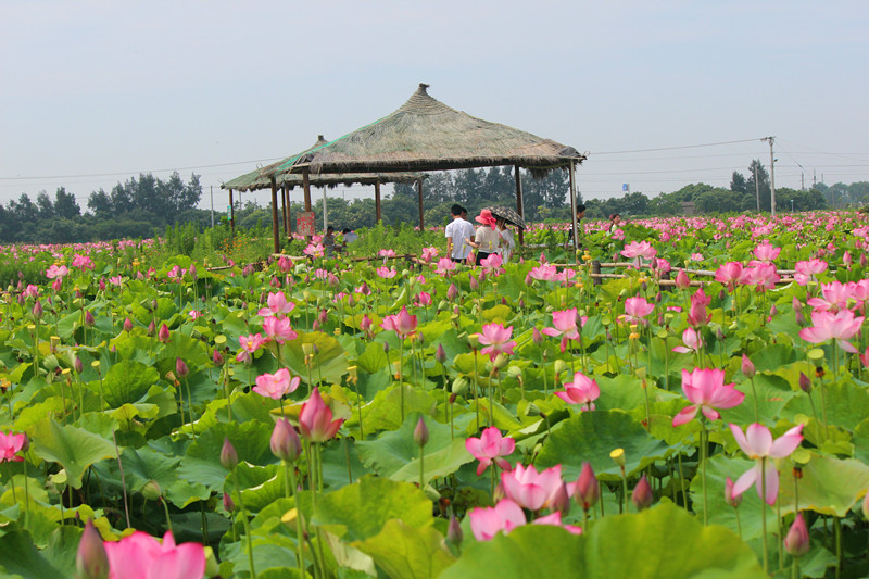 �����Ĳ���'����