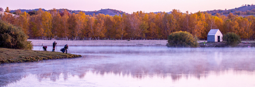 ����һ���Ĳ���'����