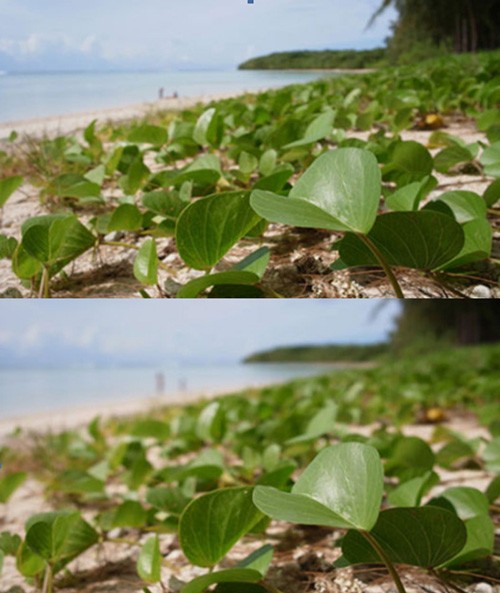 ��(sh��)��?j��n)zӰ�ı؂��R