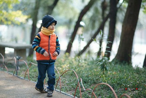 ������ѽ��� �����˽������R��85mm�R�^