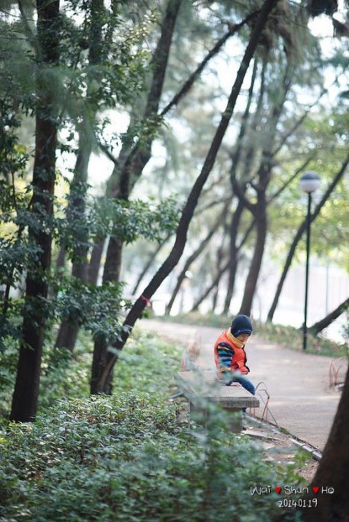 ������ѽ��� �����˽������R��85mm�R�^