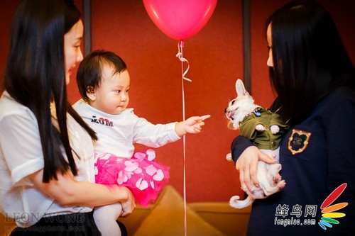 ƽ��(sh��)�Ĕ��½��� ֪����Y�zӰ����Մ50mm