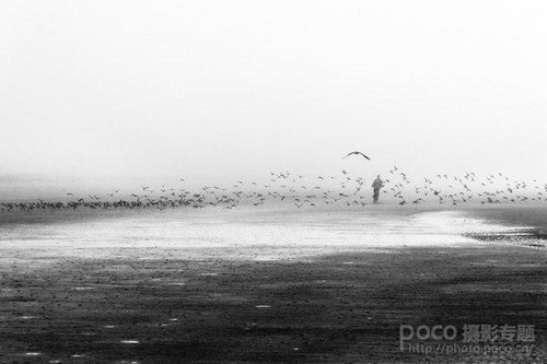 夏日炎炎學攝影 新手尋求進步的5條建議 夏日炎炎學攝影 新手尋求進步的5條建議