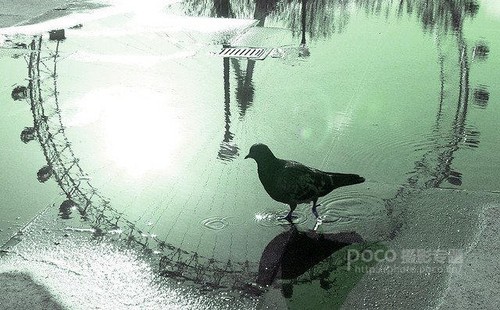 夏日炎炎學攝影 新手尋求進步的5條建議 夏日炎炎學攝影 新手尋求進步的5條建議