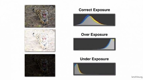 �����Ў��� ���ֱ؂�6��(g��)�ճ��ĔzӰ����(x��)