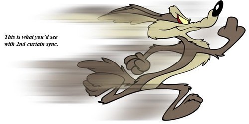 新手使用閃光燈常見的6個錯誤 新手使用閃光燈常見的6個錯誤