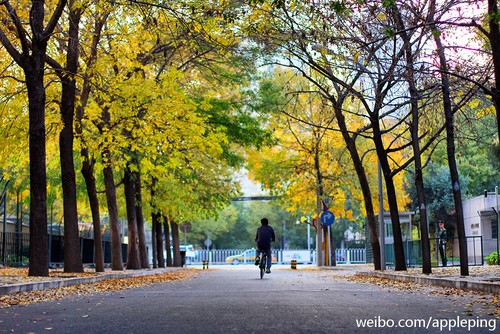 ���ֲ������ղ��y