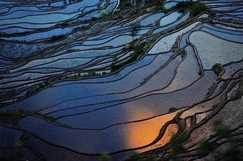 �����ԌW(xu��)�zӰ��(g��u)�D��