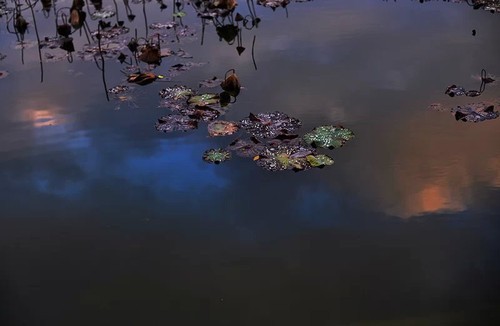 �����ԌW(xu��)�zӰ��(g��u)�D��