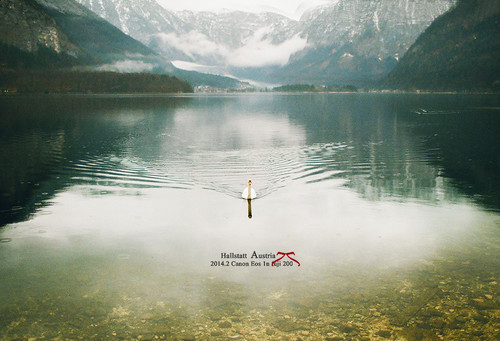 當攝影師們在拍照時 他們會在想什么 當攝影師們在拍照時 他們會在想什么