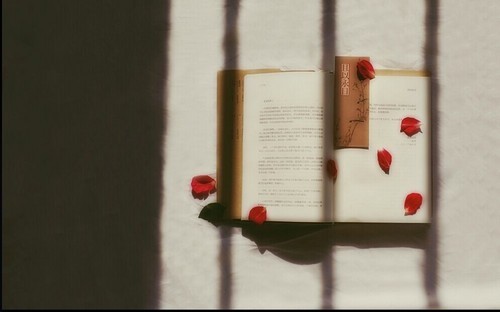 ���zӰ���������Օr ����������ʲô