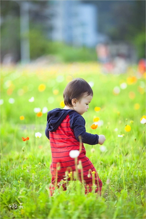 拍娃黨的攝影指南手冊(cè) 拍娃黨的攝影指南手冊(cè)