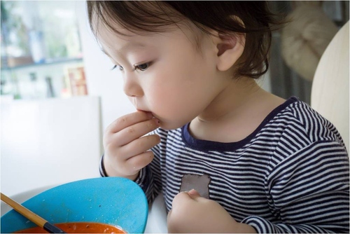 �����h�ĔzӰָ��