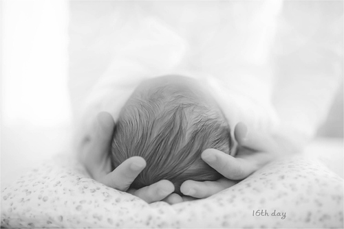 �����h�ĔzӰָ��