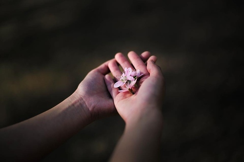 2015全新基礎課程 為愛攝影的你 2015全新基礎課程 為愛攝影的你