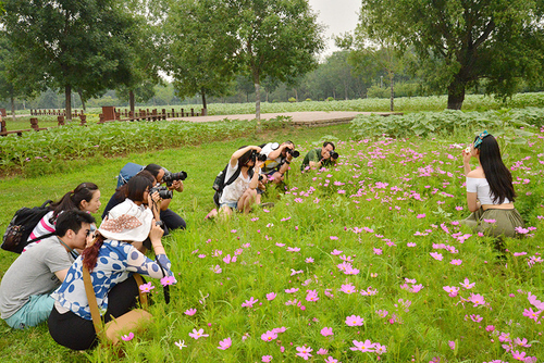 2015全新基礎課程 為愛攝影的你 2015全新基礎課程 為愛攝影的你