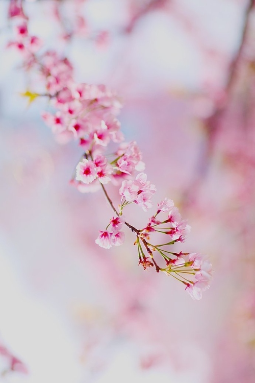 攝影師答讀者提問 做好掌鏡人 攝影師答讀者提問 做好掌鏡人