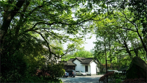 天下武功唯快不破 被小覷的A6000使用心得 天下武功唯快不破 被小覷的A6000使用心得