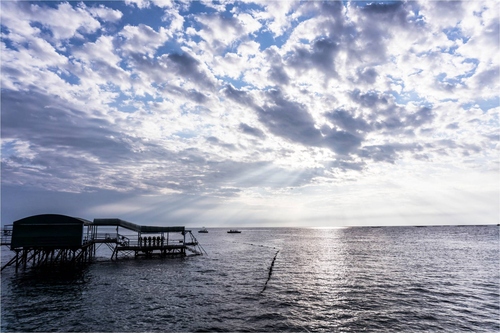 武功唯快不破 被小覷的索尼A6000全方位心得 武功唯快不破 被小覷的索尼A6000全方位心得