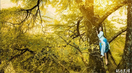 天下武功唯快不破 被小覷的A6000使用心得 天下武功唯快不破 被小覷的A6000使用心得