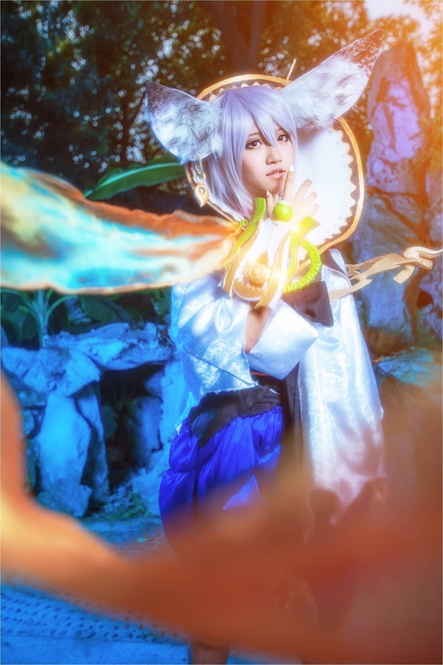 不再器材選擇困難癥 蜂鳥版主教你選鏡頭 不再器材選擇困難癥 蜂鳥版主教你選鏡頭