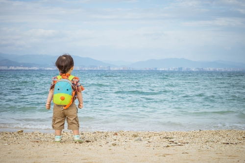 器材選擇不再困難 蜂鳥版主教你選鏡頭 器材選擇不再困難 蜂鳥版主教你選鏡頭