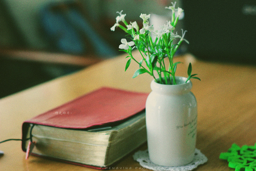 用光的藝術(shù) 初學(xué)者必須了解的光圈概念 用光的藝術(shù) 初學(xué)者必須了解的光圈概念