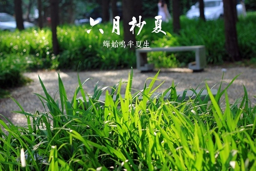 用光的藝術(shù) 初學(xué)者必須了解的光圈概念 用光的藝術(shù) 初學(xué)者必須了解的光圈概念