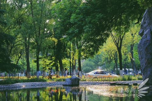 用好黃金時段的光線 渲染獨特的照片氛圍 用好黃金時段的光線 渲染獨特的照片氛圍