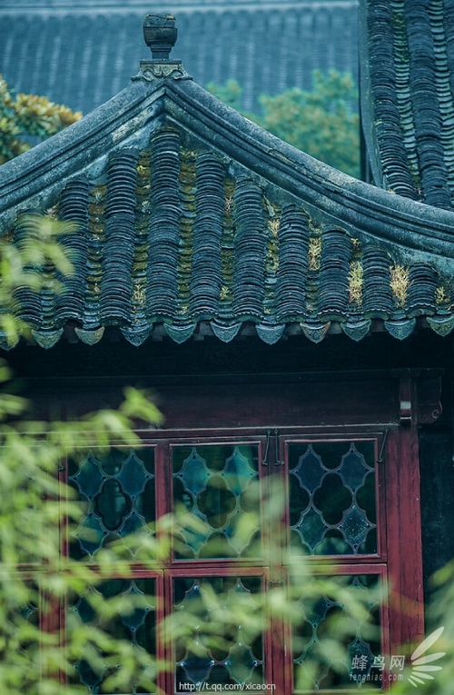 觀點(diǎn)探討 相機(jī)的高像素真的很重要嗎 觀點(diǎn)探討 相機(jī)的高像素真的很重要嗎