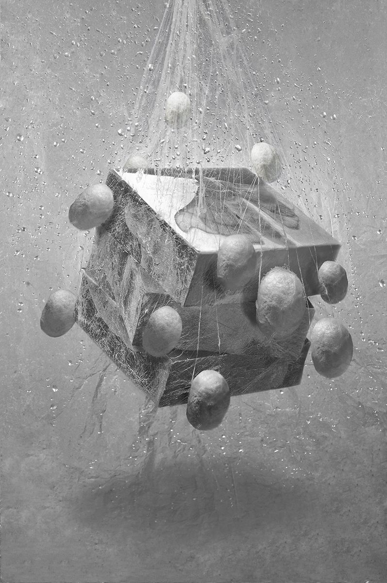 ���g�S���c����݆�� 2.jpg