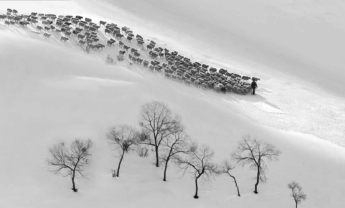 ���� _MG_0258.jpg